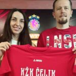 čelik
