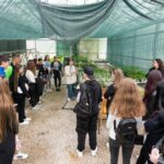 carbon farming