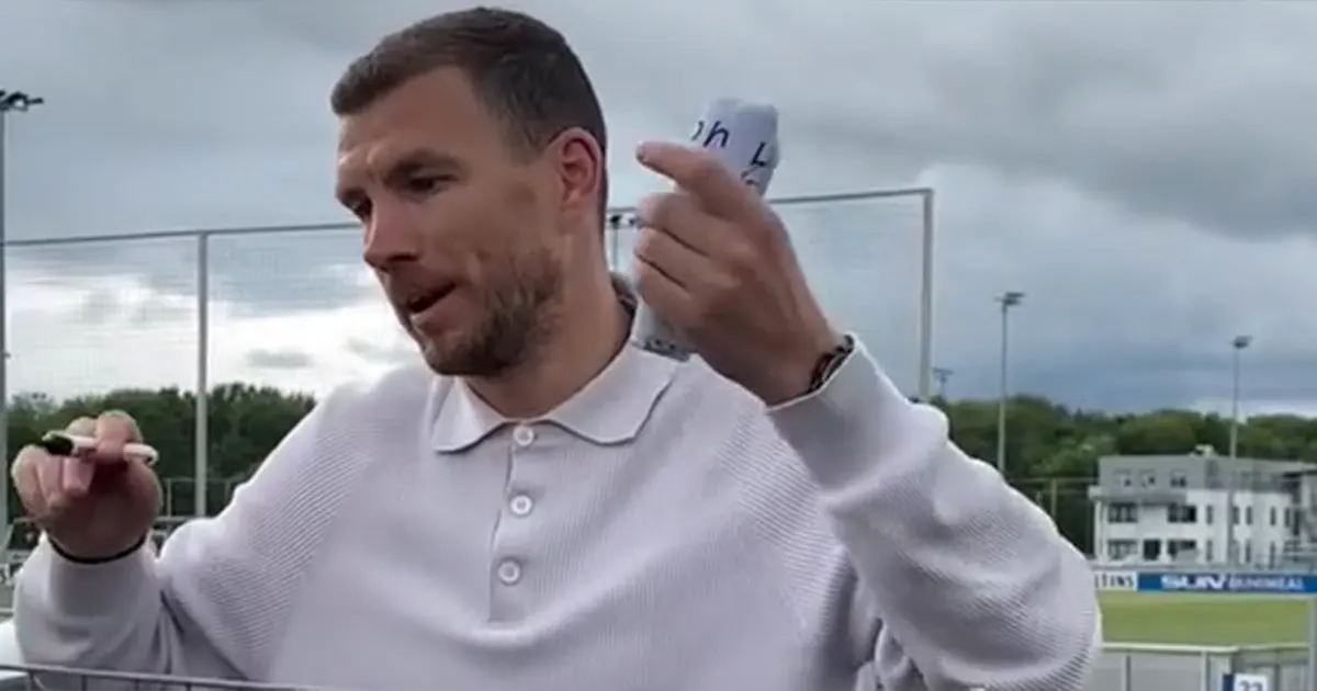 Edin Džeko