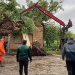Jablan srušio kuću u nevremenu