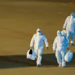 hantavirus epidemija virus pandemija