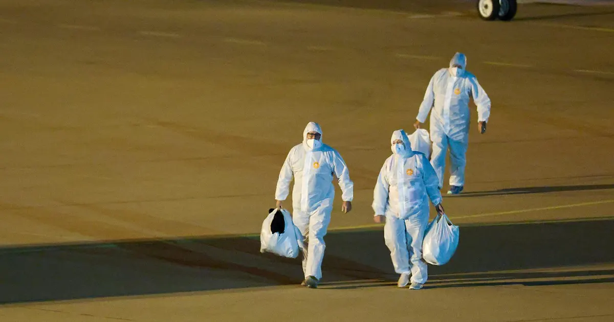 WHO: Nema znakova veće epidemije hantavirusa