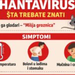 hantavirus