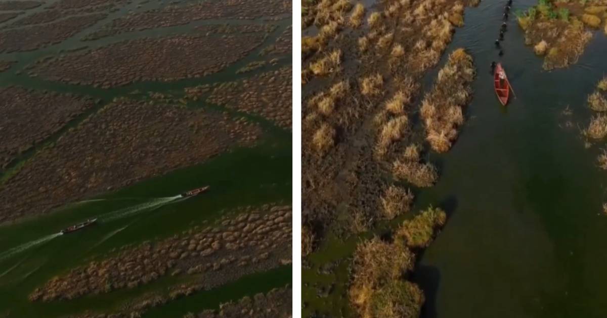 Nakon godina suše oživjele močvare drevne Mezopotamije: Vraćaju se ribari i stočari