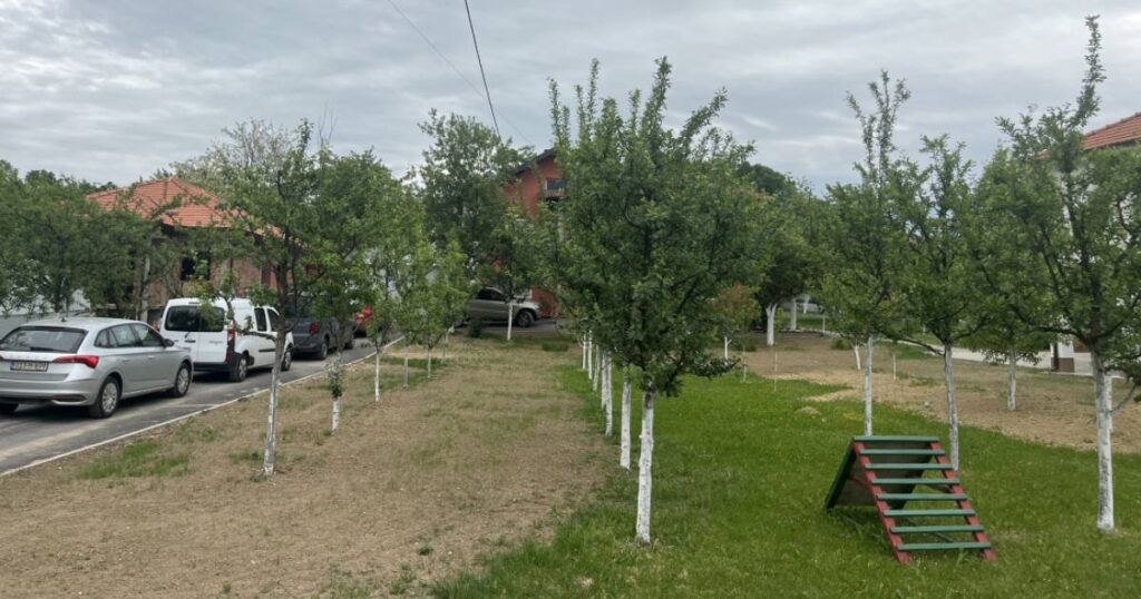nail jusić pretres
