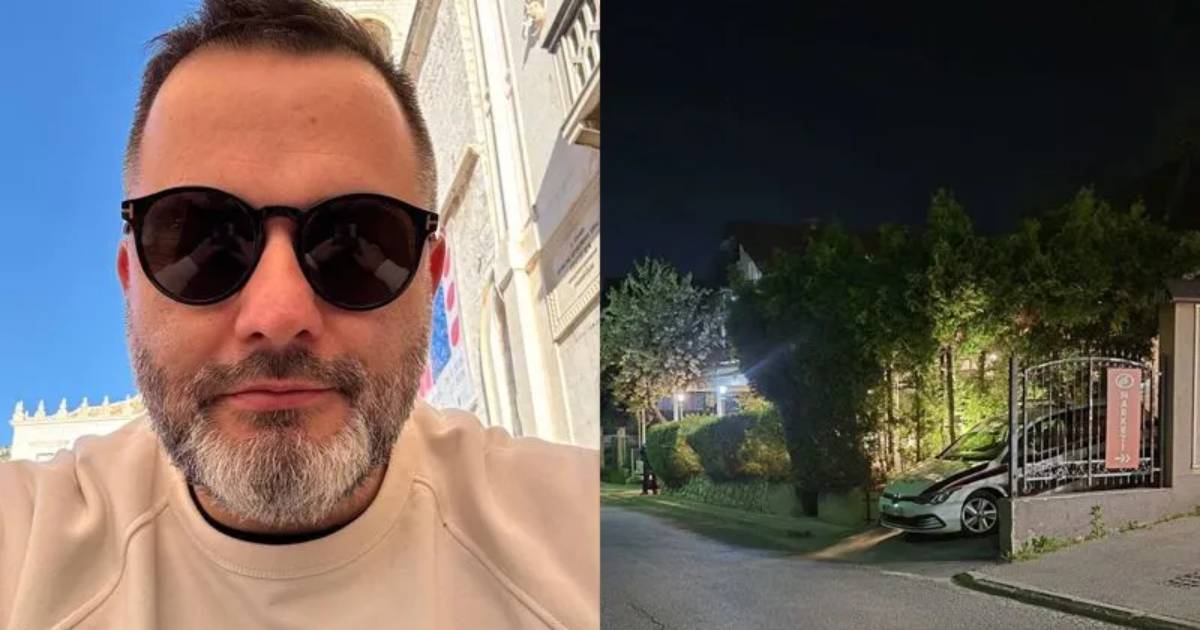 nedim livnjak