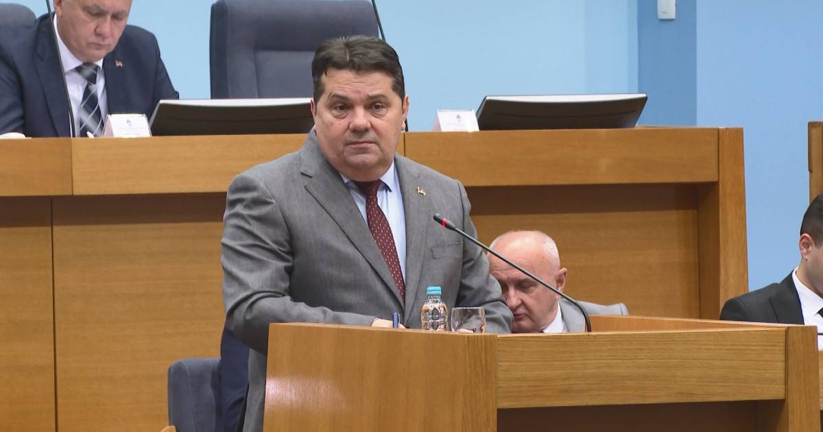 nenad stevandić