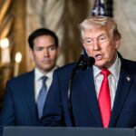 marco rubio donald trump
