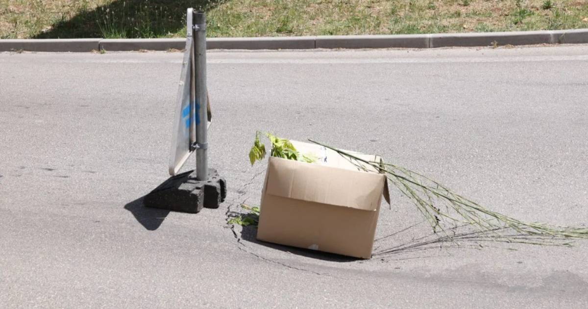 Kartonska kutija i grane nasred ceste: Nesvakidašnje upozorenje vozačima