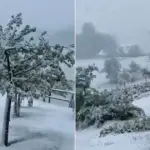 Snijeg u Sloveniji