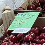 cijene trešanja na pijaci u Zagrebu