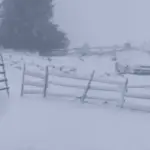 Majski snijeg na Vlašiću