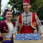 Gradačački Sajam šljive