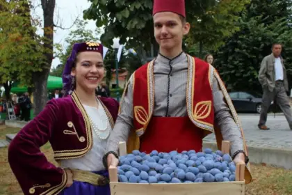 Gradačački Sajam šljive