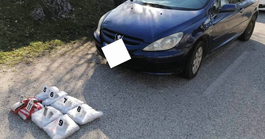 akcija fabia