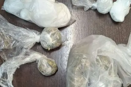 Zaplijenjena droga