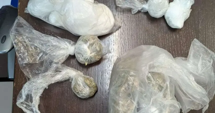 Zaplijenjena droga