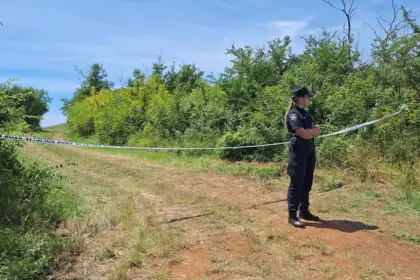 pao avion u hrvatskoj