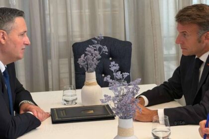 denis becirovic emmanuel macron