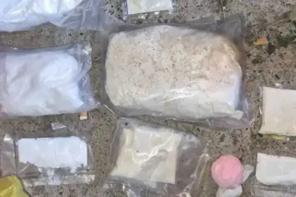 Zaplijenjena droga