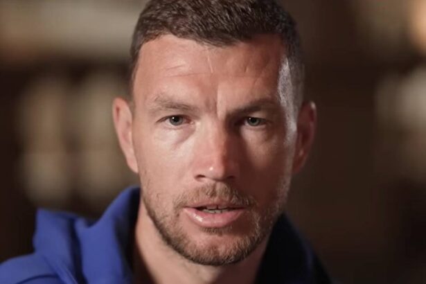 edin džeko