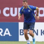Edin DŽeko