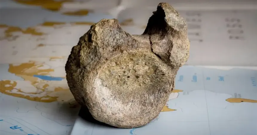 Pronađena kost dinosaura na Antarktiku