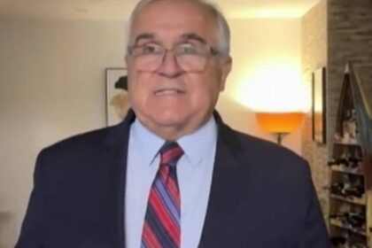 ivica puljić