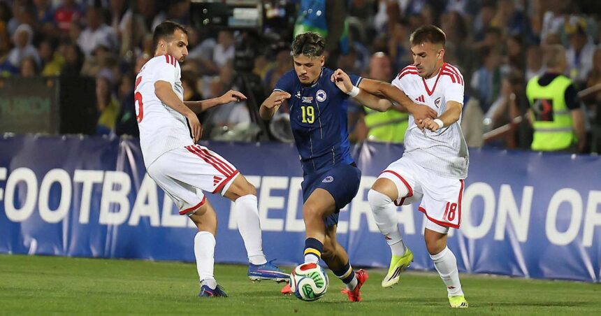 Reprezentacija BiH svjetsko prvenstvo