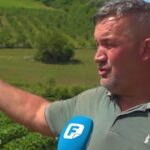 Proizvođač jagoda Muhamed Abdurahmanović