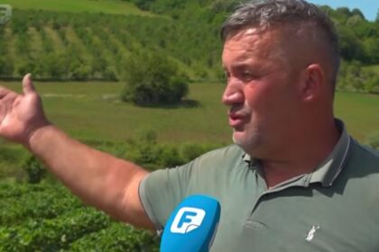 Proizvođač jagoda Muhamed Abdurahmanović
