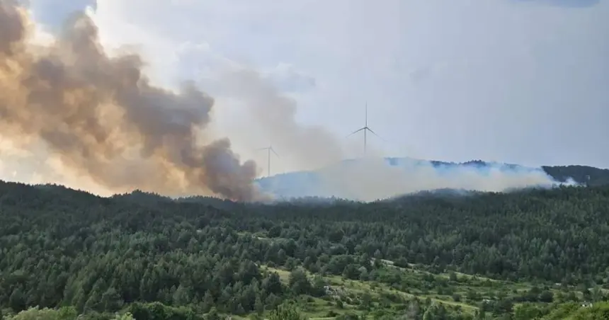 Veliki požar kod Posušja i dalje aktivan, gase ga Air Tractori