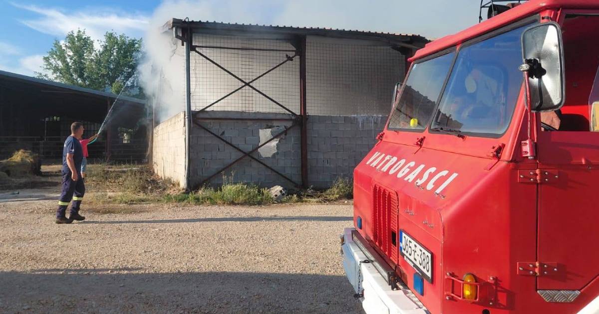 U požaru stradale dvije krave, vatrogasci gasili v