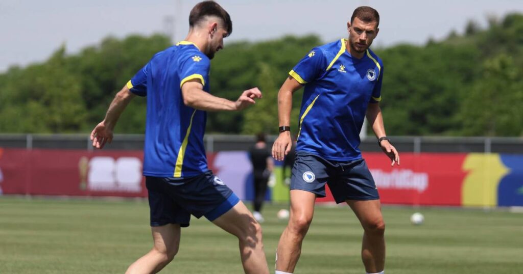 reprezentacija BiH dzeko