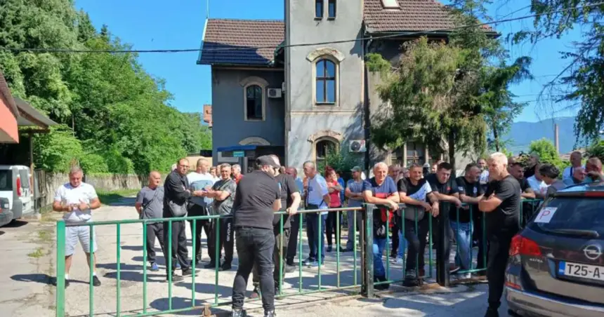 rudari zenica