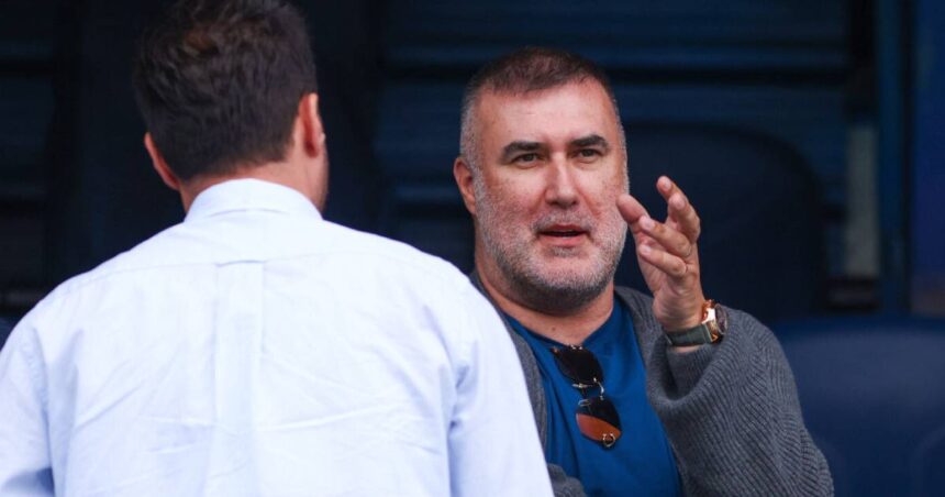 sanin mirvić