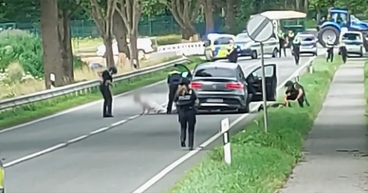 Detalji ubistva šestoro ljudi u Njemačkoj: Poznat motiv, ko je napadač i ko su mu bile mete