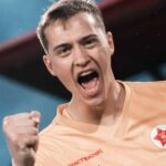 tarik karić