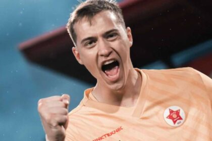 tarik karić