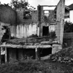 višegrad živa lomača