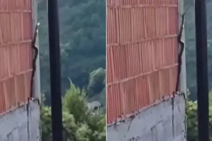 Zmija se penje uz zid kuće