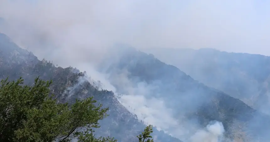 Požar na Rujištu kod Mostara (Foto: Fena)