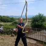 Mišo Pamučina sa uhvaćenom zmijom