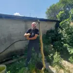 Mišo Pamučina sa uhvaćenom zmijom