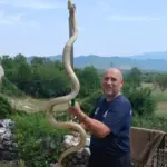 Mišo Pamučina sa uhvaćenom zmijom (Foto: Društvene mreže)