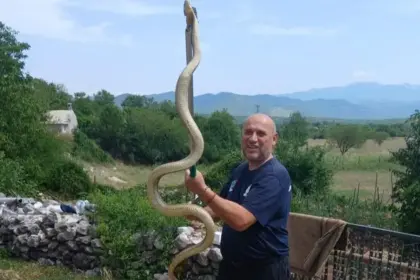 Mišo Pamučina sa uhvaćenom zmijom (Foto: Društvene mreže)