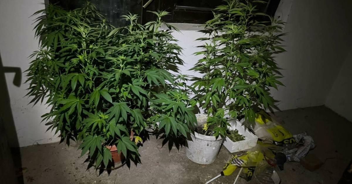 Policija u akciji: Pretresi na dvije lokacije, pronađena droga