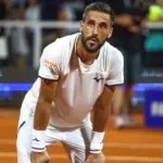 damir džumhur