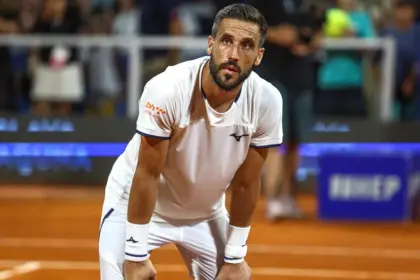 damir džumhur
