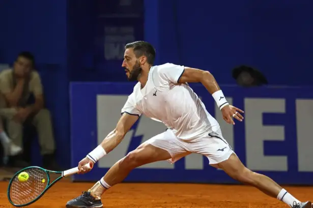 Damir Džumhur